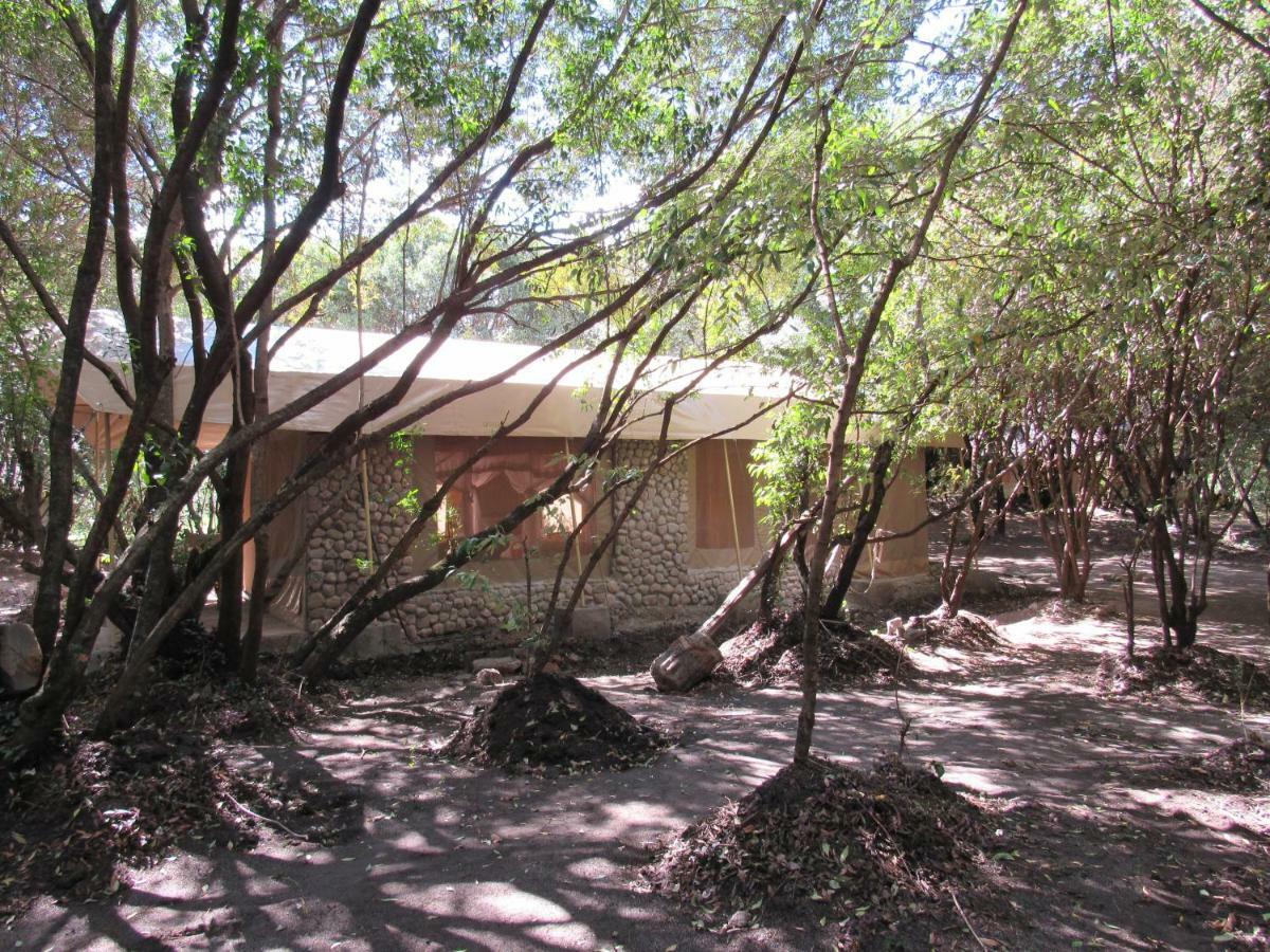 Hotel Enchoro Wildlife Camp à Ololaimutiek Extérieur photo