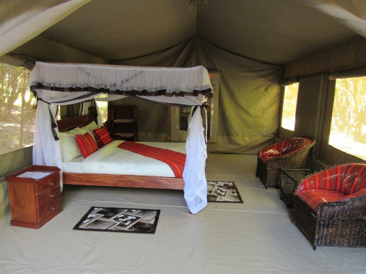 Hotel Enchoro Wildlife Camp à Ololaimutiek Extérieur photo